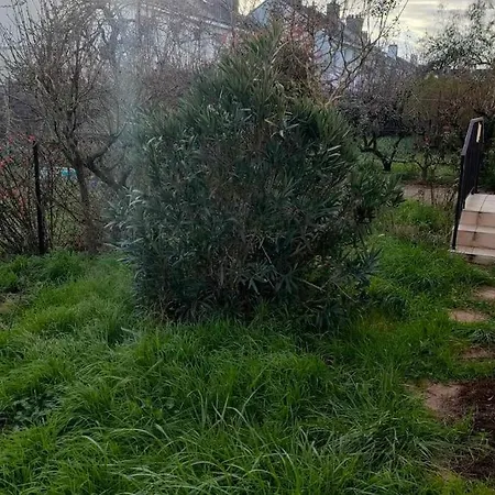 Cosy 2 Avec Jardin *